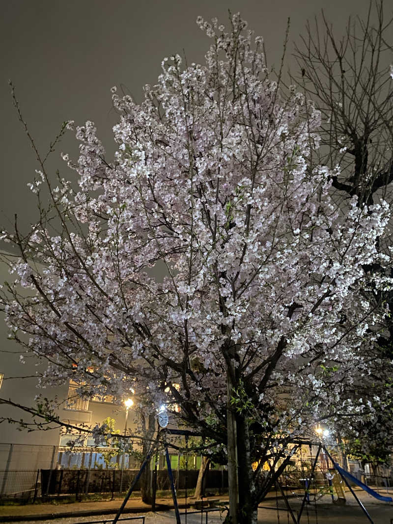 サウナ道さんのサウナ&カプセルホテルレインボー本八幡店のサ活写真
