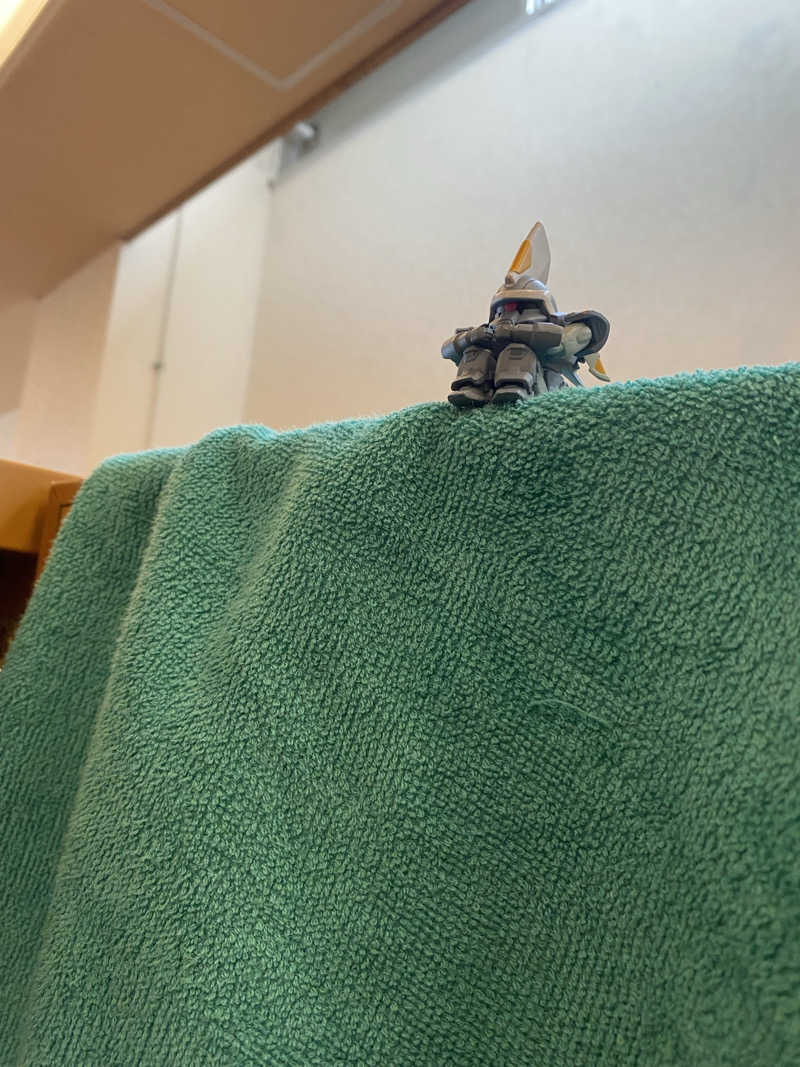 サウナ道さんの湯乃泉 東名厚木健康センターのサ活写真