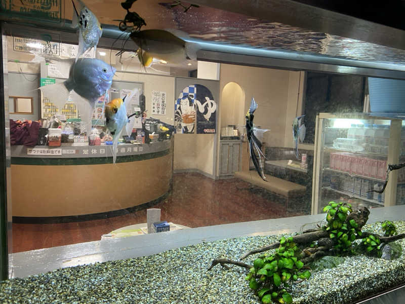 サウナ道さんの宝泉湯のサ活写真