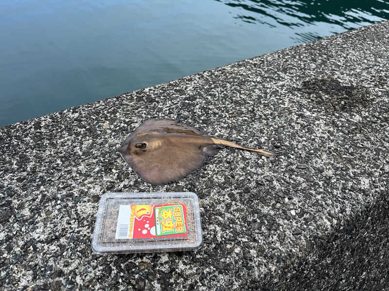 ドックパッチさんの富士山天然水SPA サウナ鷹の湯のサ活写真