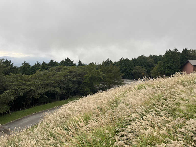 ドックパッチさんの東急ハーヴェストクラブ天城高原(ホテルハーヴェスト天城高原)のサ活写真