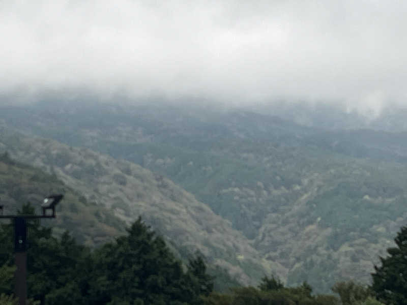 ドックパッチさんの東急ハーヴェストクラブ天城高原(ホテルハーヴェスト天城高原)のサ活写真