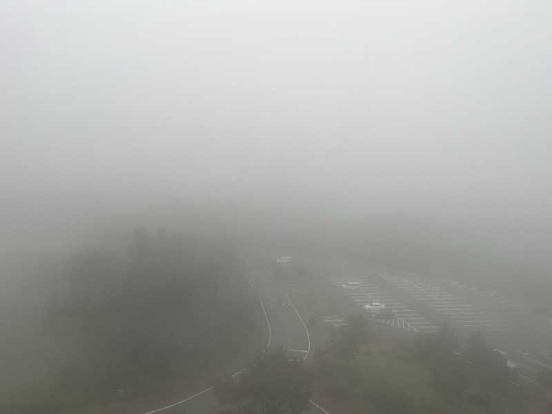 ドックパッチさんの東急ハーヴェストクラブ天城高原(ホテルハーヴェスト天城高原)のサ活写真