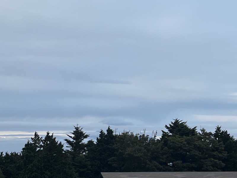 ドックパッチさんの東急ハーヴェストクラブ天城高原(ホテルハーヴェスト天城高原)のサ活写真