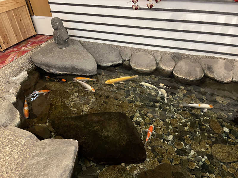 ドックパッチさんのニュー八景園のサ活写真