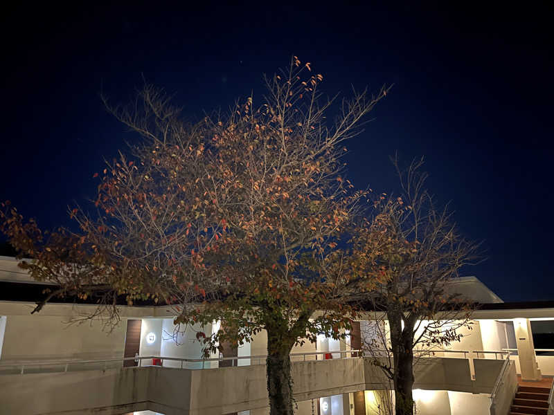 ドックパッチさんのリブマックスリゾート伊東川奈のサ活写真