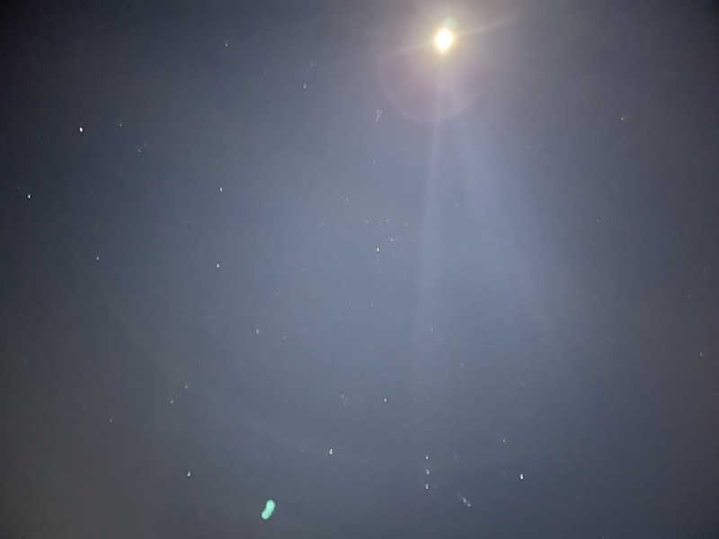 ドックパッチさんのリブマックスリゾート伊東川奈のサ活写真