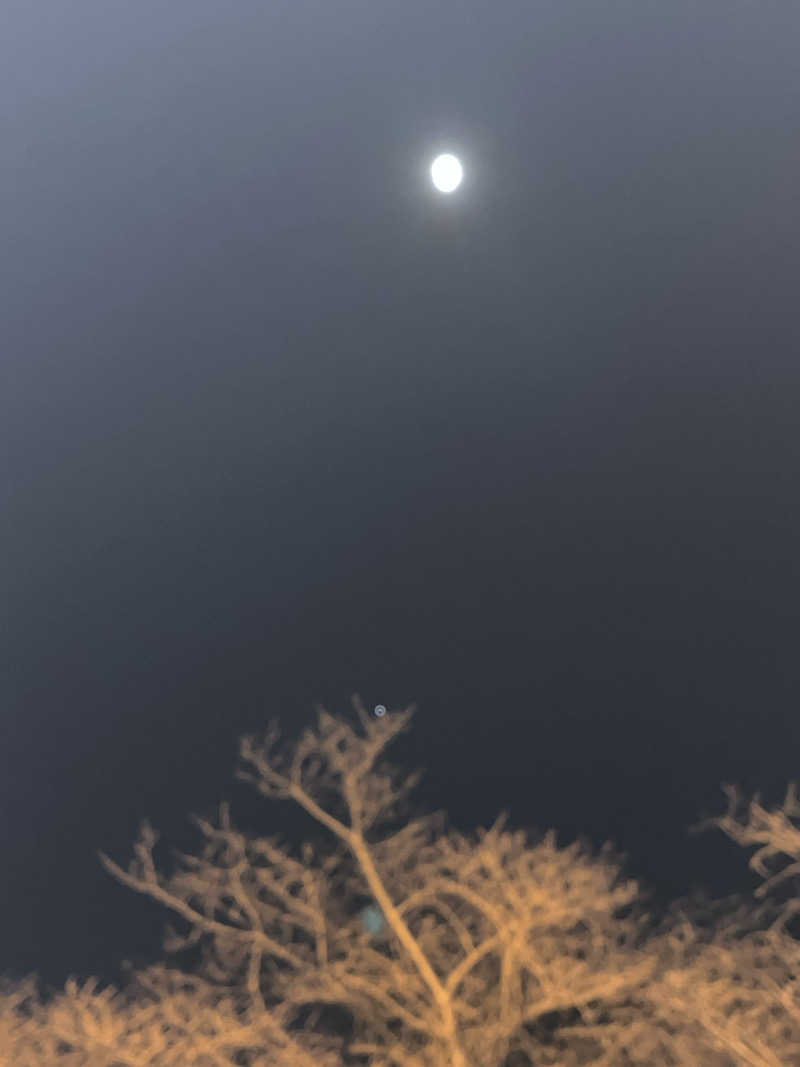 ドックパッチさんの踊り子温泉会館のサ活写真