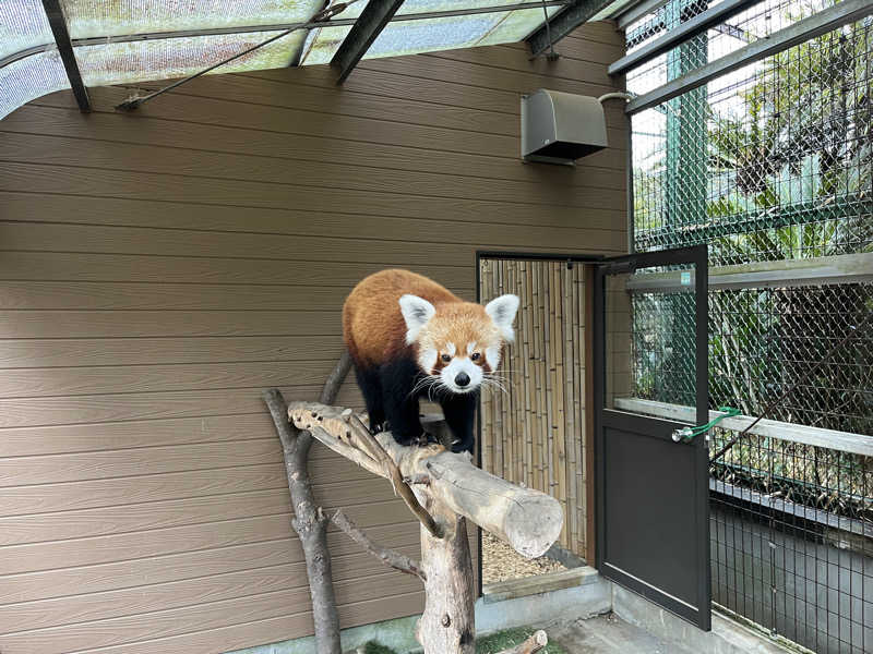 ドックパッチさんの熱川プリンスホテルのサ活写真