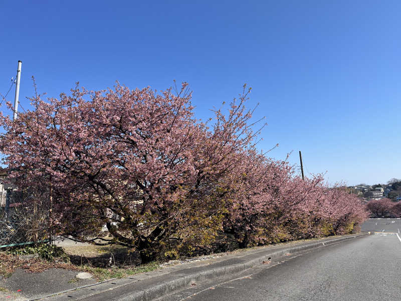 ドックパッチさんの駿河の湯 坂口屋のサ活写真