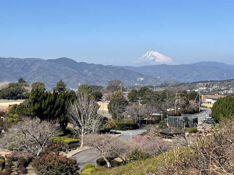 ドックパッチさんの駿河の湯 坂口屋のサ活写真