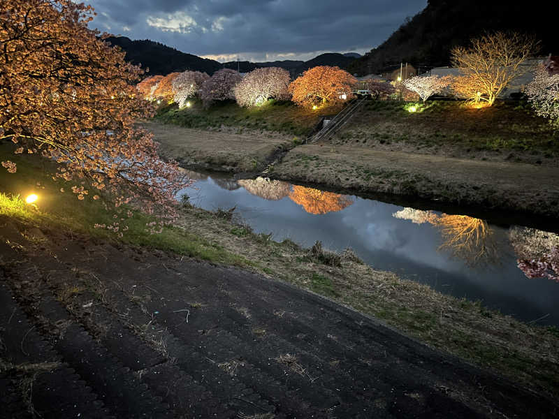 ドックパッチさんの下賀茂温泉 銀の湯会館のサ活写真