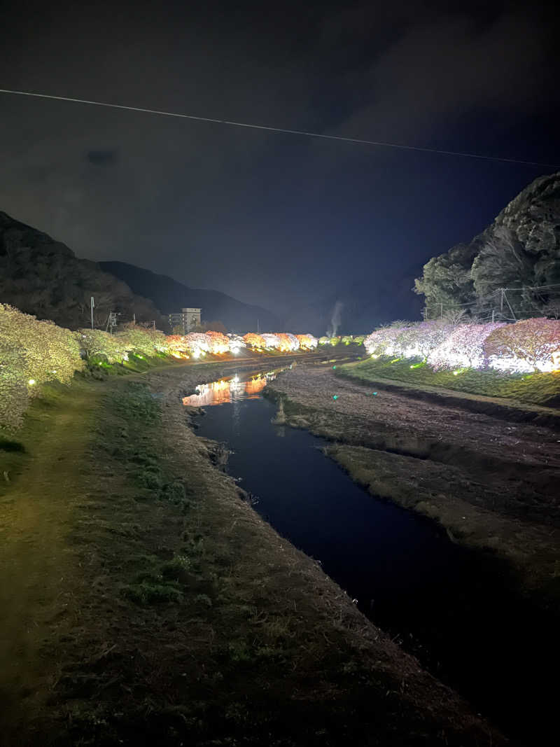ドックパッチさんの下賀茂温泉 銀の湯会館のサ活写真