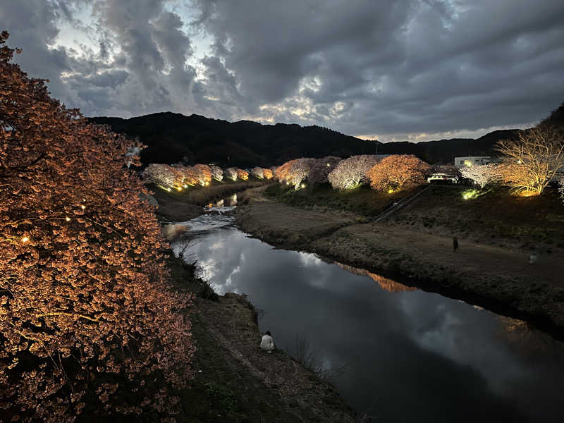 ドックパッチさんの下賀茂温泉 銀の湯会館のサ活写真