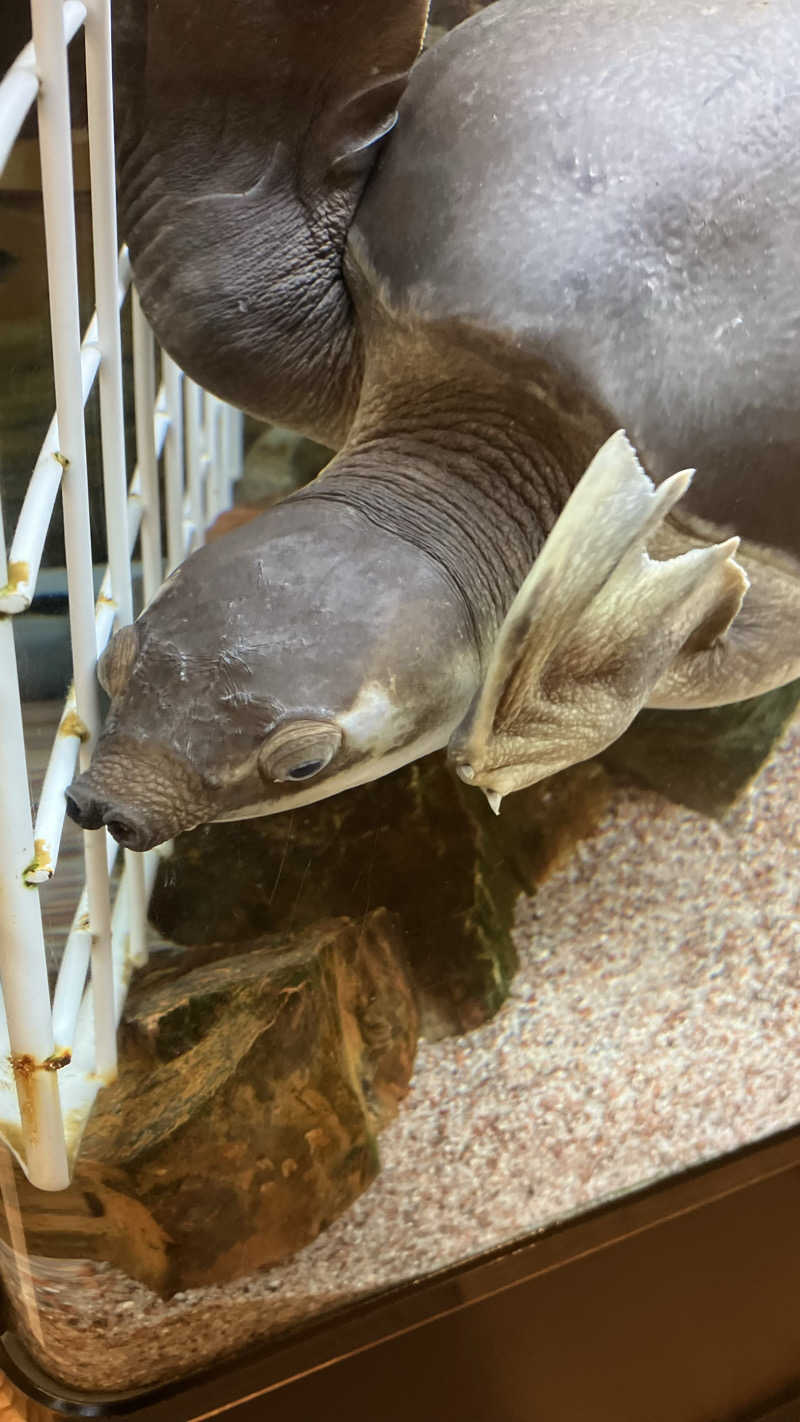 TAKASAKA MASAYOSHIさんの松本湯のサ活写真