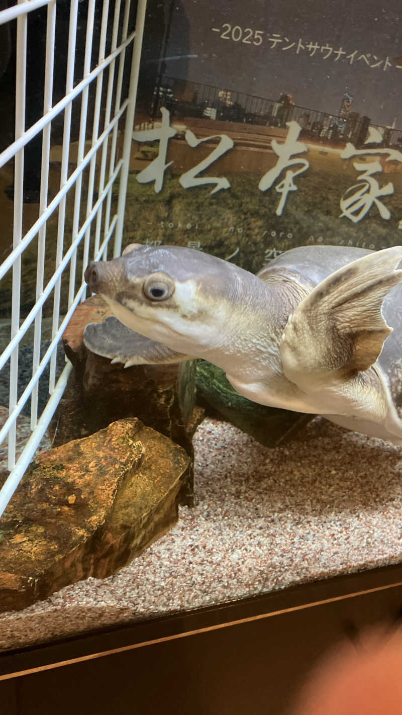 TAKASAKA MASAYOSHIさんの松本湯のサ活写真