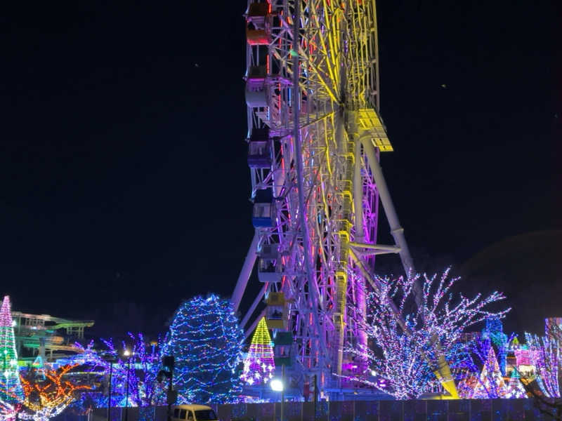 ひかちゅうさんのよみうりランド眺望温泉 花景の湯のサ活写真