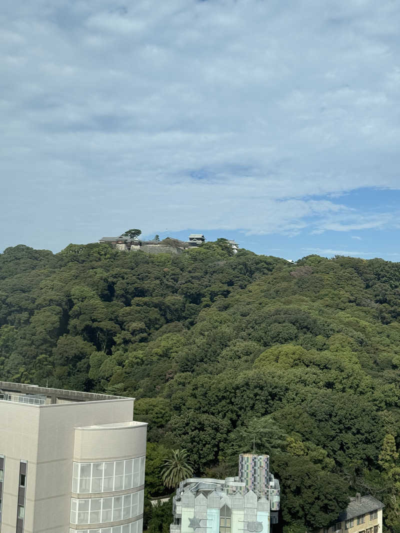 きゃわひゃりゃ~にょりゆきぃ~さんのカンデオホテルズ松山大街道のサ活写真