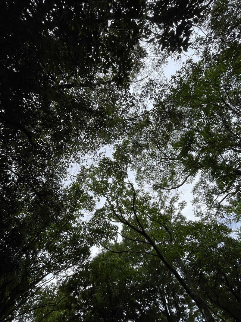 Juntaro🧖さんのAOU no MORIのサ活写真