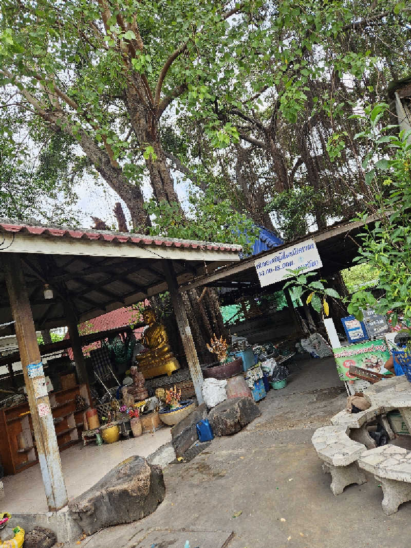 サウマさんのワット カチョンシリ(Wat Khachonsiri)のサ活写真