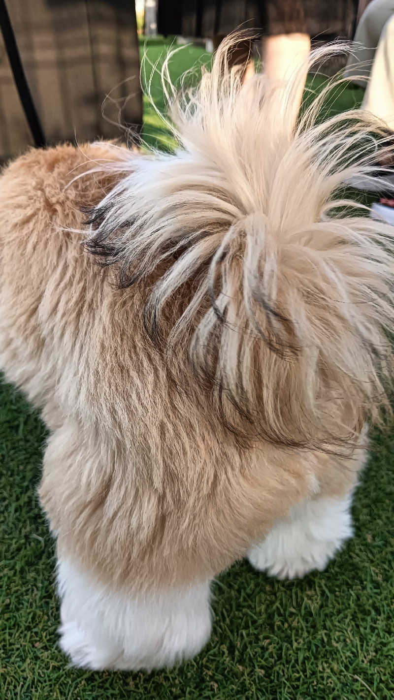 サ犬 a.k.a chiillさんのサウナ&カプセルホテル 北欧のサ活写真