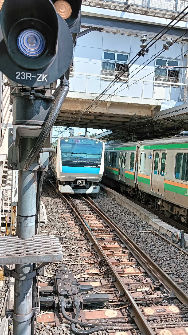 サ犬 a.k.a chiillさんのサウナ&カプセルホテル 北欧のサ活写真