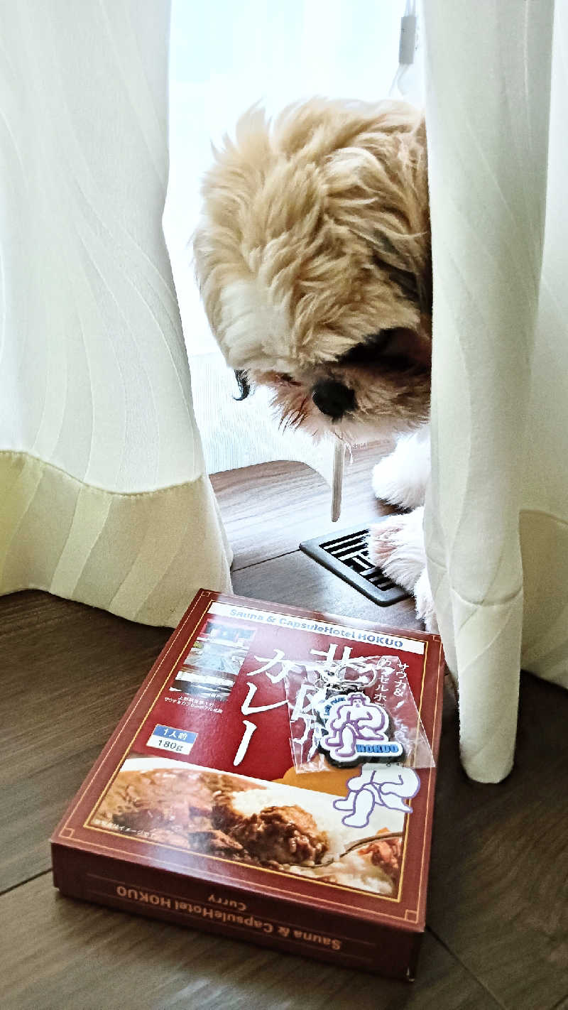 サ犬 a.k.a chiillさんのサウナ&カプセルホテル 北欧のサ活写真