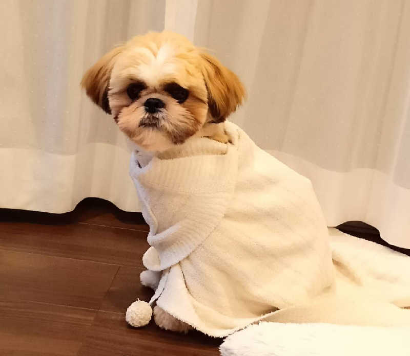 サ犬 a.k.a chiillさんのおふろの王様 志木店のサ活写真