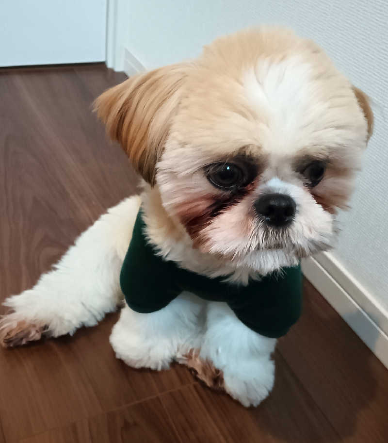 サ犬 a.k.a chiillさんのウェルビー栄のサ活写真