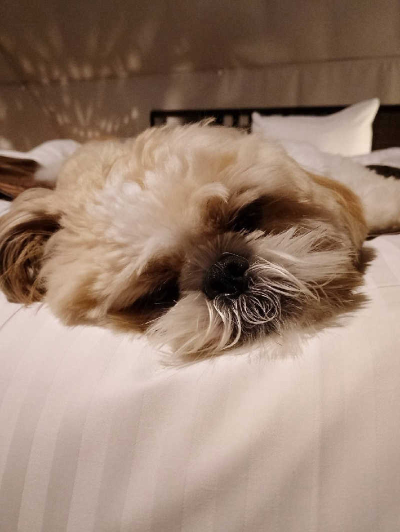 サ犬 a.k.a chiillさんのGLAMPING SAUNA-SISUのサ活写真