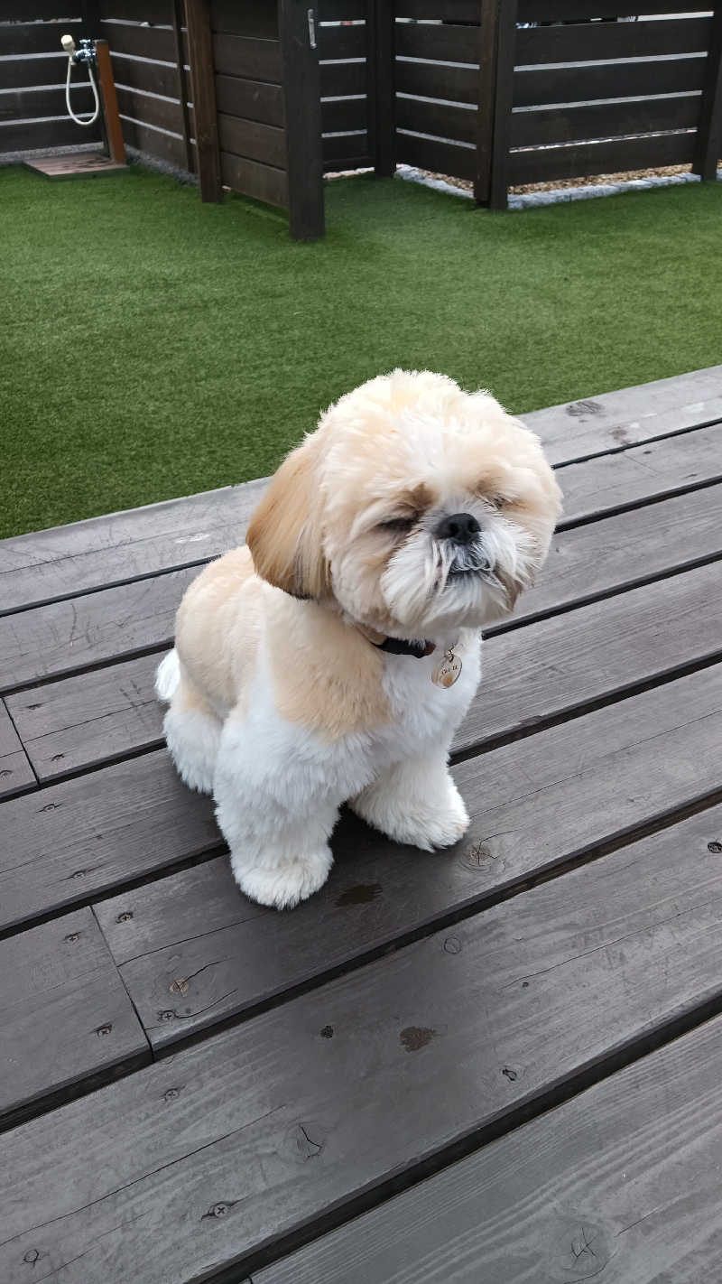 サ犬 a.k.a chiillさんのGLAMPING SAUNA-SISUのサ活写真