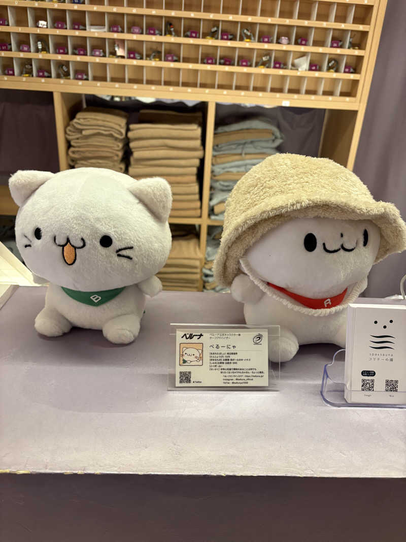 よっちゃんさんのSPA&SAUNA コリドーの湯のサ活写真