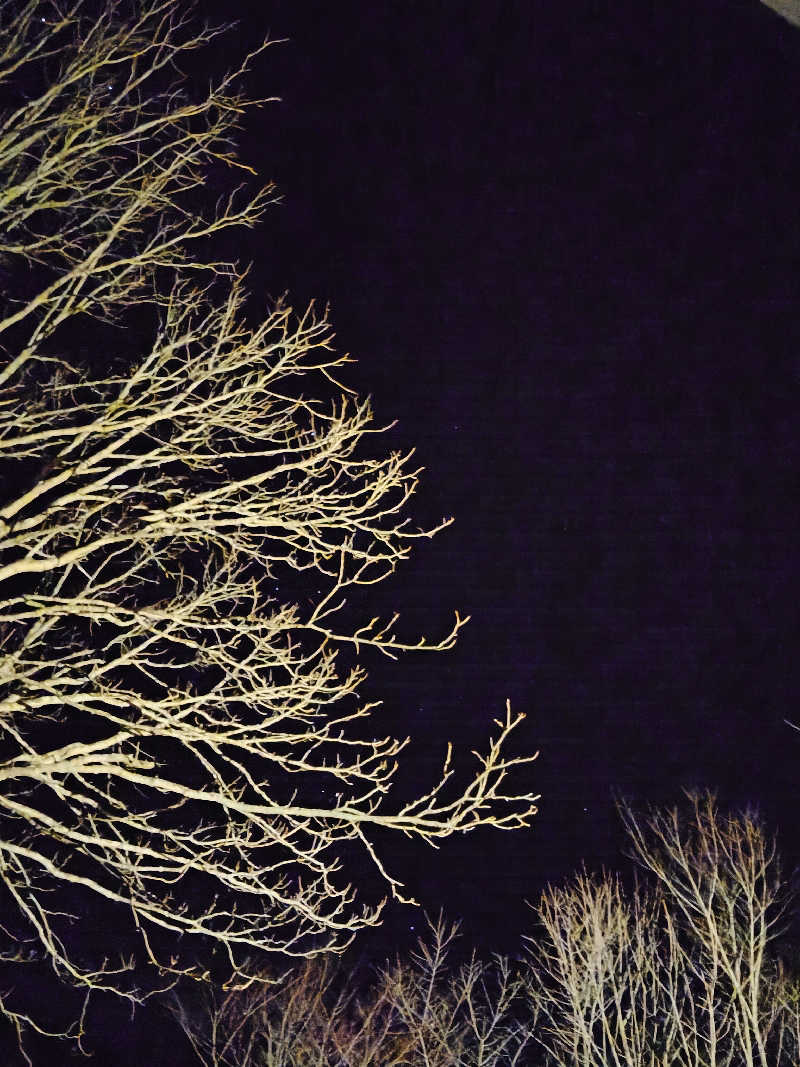 サウナ太郎さんのtheKinta "SAVU"のサ活写真