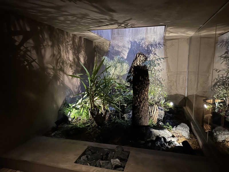 ひぃこさんのHiki stargazing saunaのサ活写真