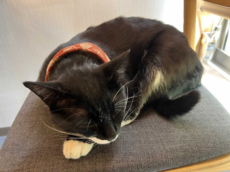 たくとさんの古湯貸切温泉 湯の華のサ活写真