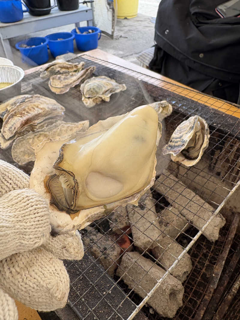 こうぞさんの白龍城 ペーロン温泉のサ活写真