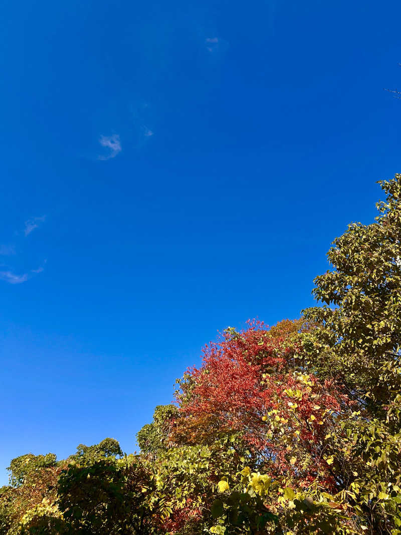 水風呂のことしか考えてないさんのゆ〜とぴあ仙台南のサ活写真