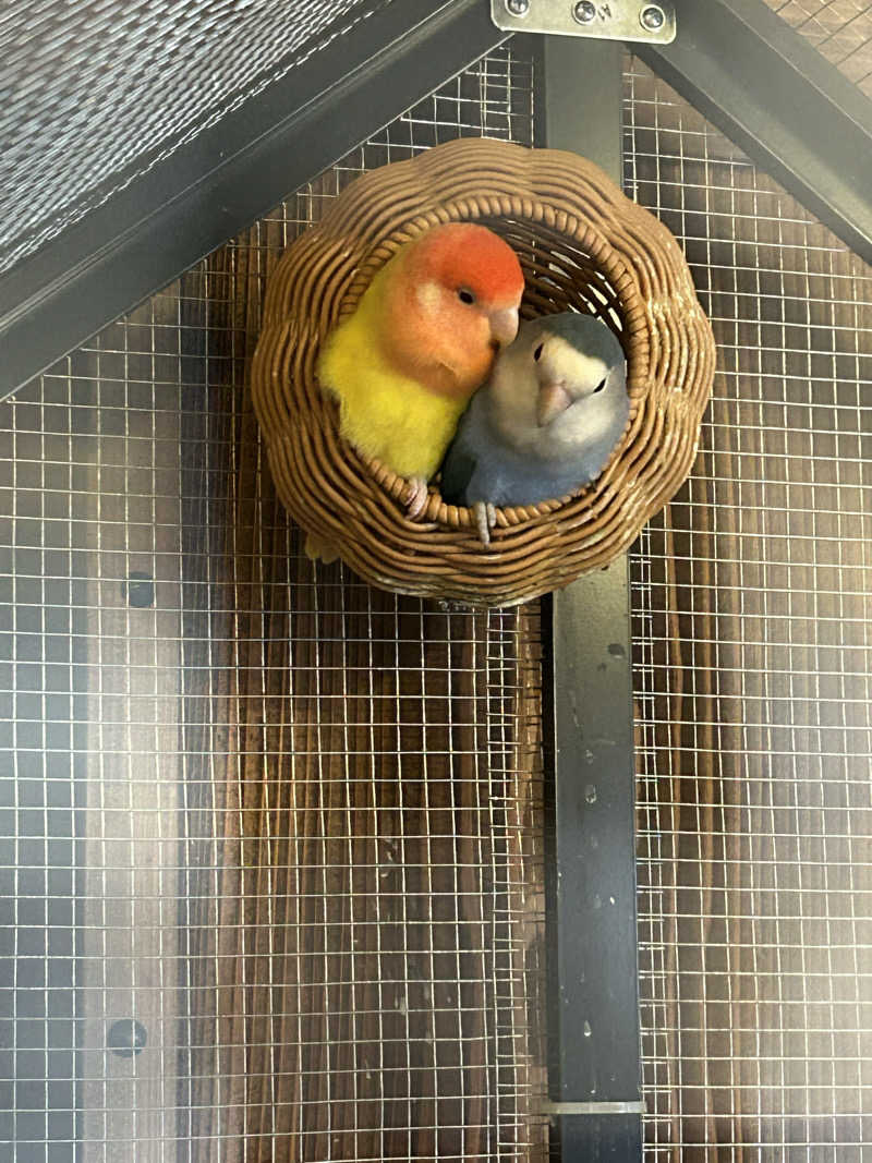 水風呂のことしか考えてないさんの鳴子温泉 旅館すがわらのサ活写真