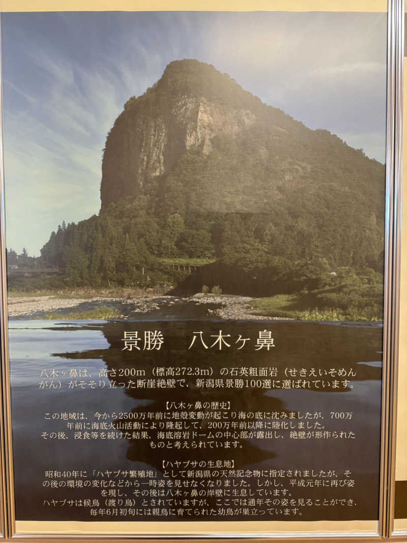 moyaさんのいい湯らていのサ活写真