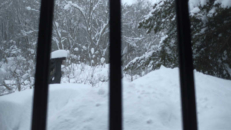 Teruさんの知内温泉のサ活写真