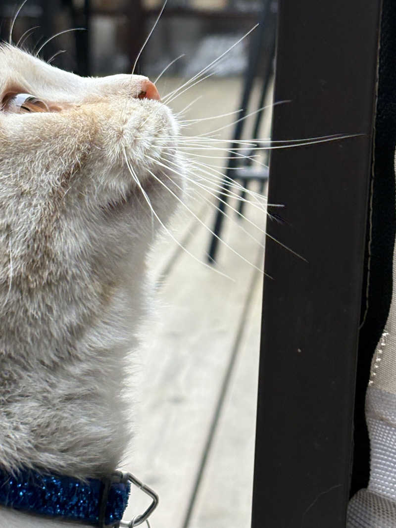 スミ@蒸ワイフさんの行田・湯本天然温泉 茂美の湯のサ活写真