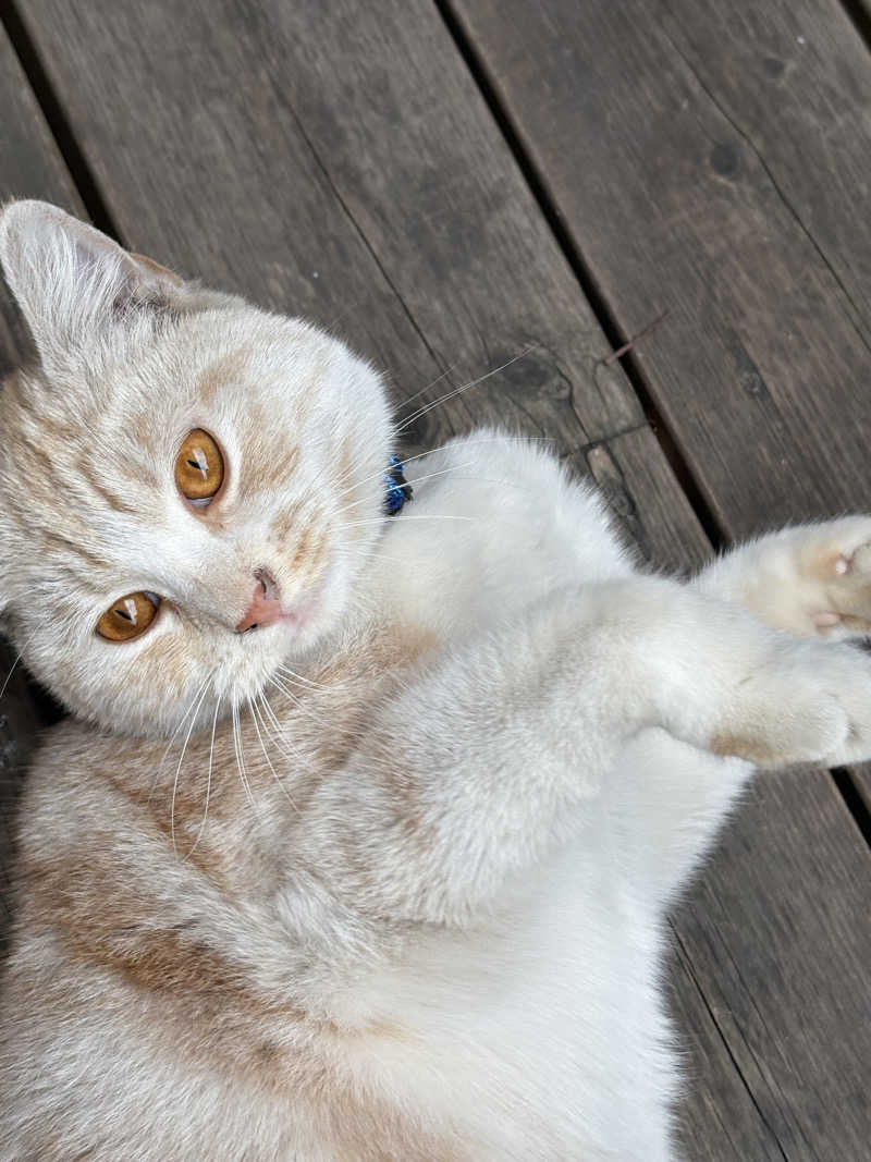 スミ@蒸ワイフさんの行田・湯本天然温泉 茂美の湯のサ活写真