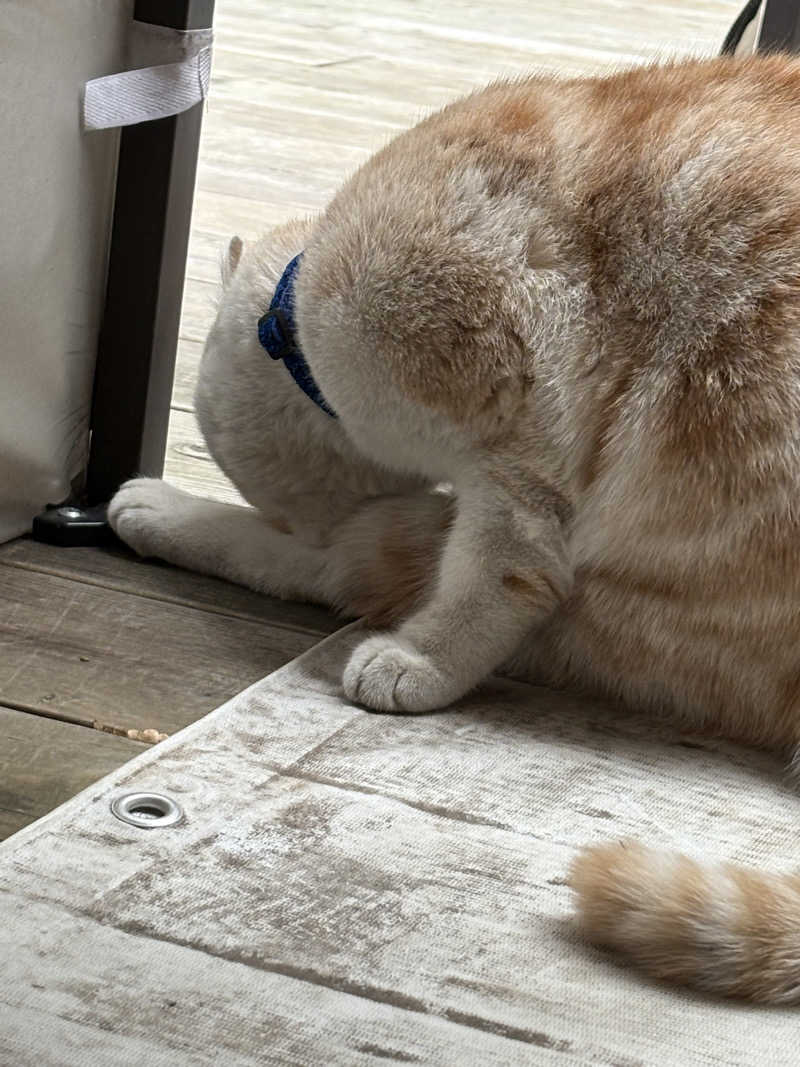 スミ@蒸ワイフさんの行田・湯本天然温泉 茂美の湯のサ活写真