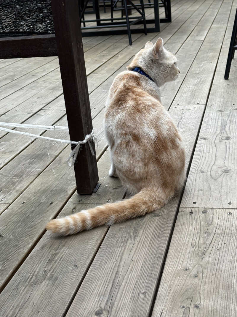 スミ@蒸ワイフさんの行田・湯本天然温泉 茂美の湯のサ活写真
