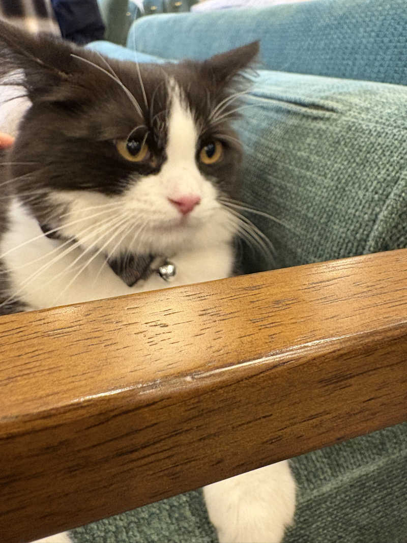 スミ@蒸ワイフさんの行田・湯本天然温泉 茂美の湯のサ活写真