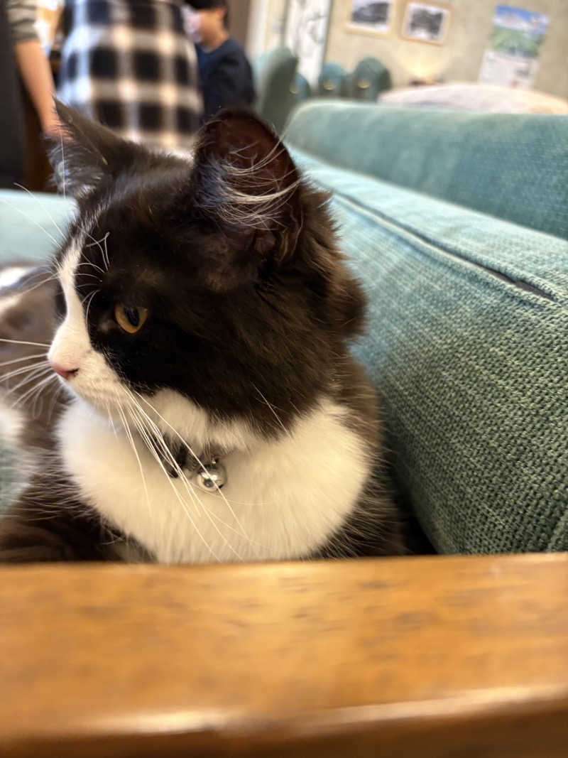 スミ@蒸ワイフさんの行田・湯本天然温泉 茂美の湯のサ活写真