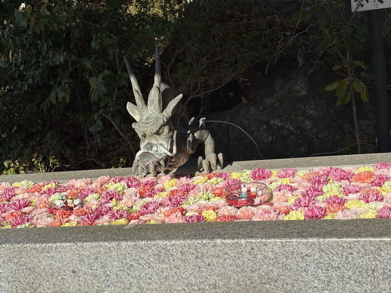 スミ@蒸ワイフさんのよみうりランド眺望温泉 花景の湯のサ活写真