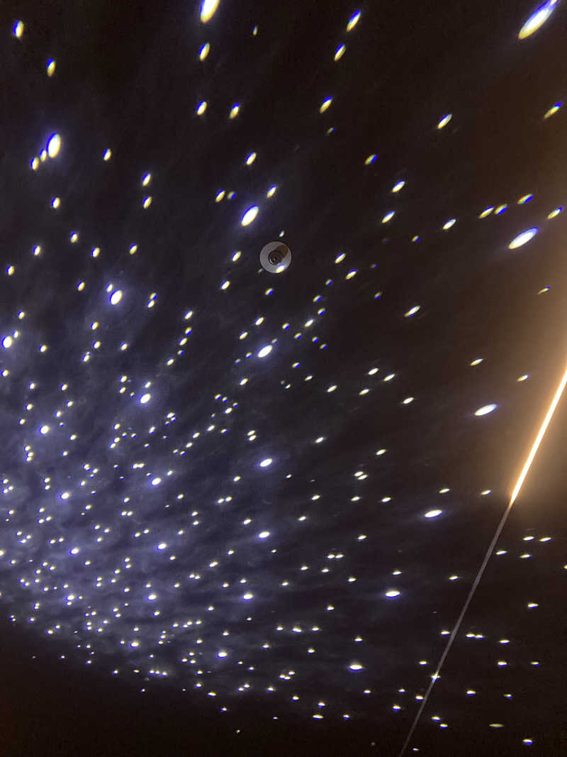 ペさんの湯元花乃井スーパーホテル大阪天然温泉のサ活写真