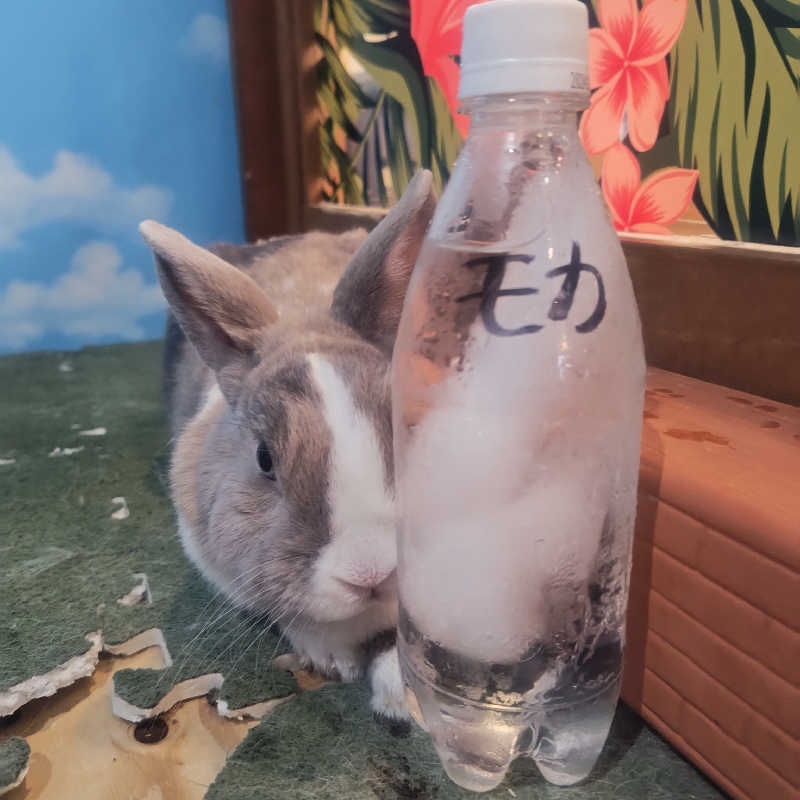 かんももさんのアクアリゾート 岐阜ふじの湯のサ活写真