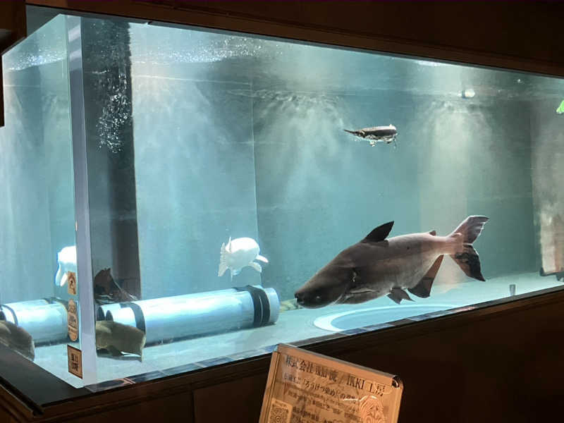 活躍金太郎さんの初音湯のサ活写真